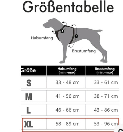 LEDERLEINE und Halsband